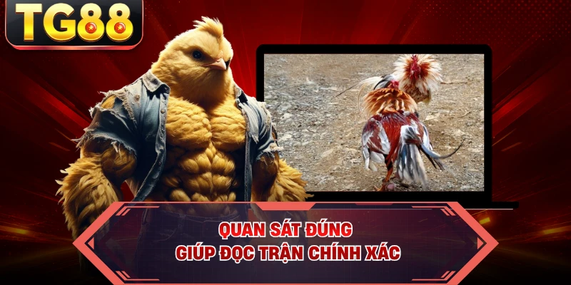 Quan sát đúng giúp đọc trận chính xác