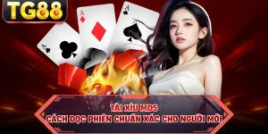 Tài Xỉu MD5 - Cách Đọc Phiên Chuẩn Xác Cho Người Mới