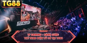 TF Gaming - Sảnh Cược Thể Thao Điện Tử Có Tại TG88