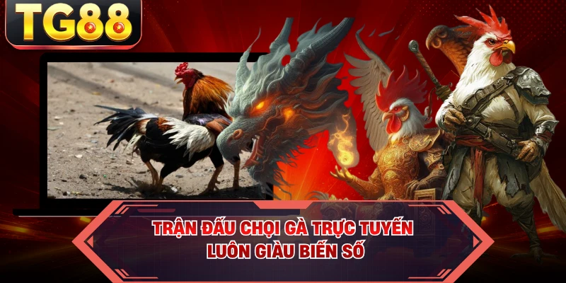 Trận đấu chọi gà trực tuyến luôn giàu biến số