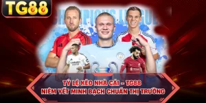 Tỷ Lệ Kèo Nhà Cái - TG88 Niêm Yết Minh Bạch Chuẩn Thị Trường